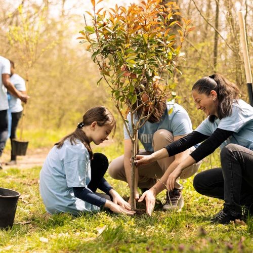 Protección y vigilancia de áreas verdes y plazas públicas de Maipú